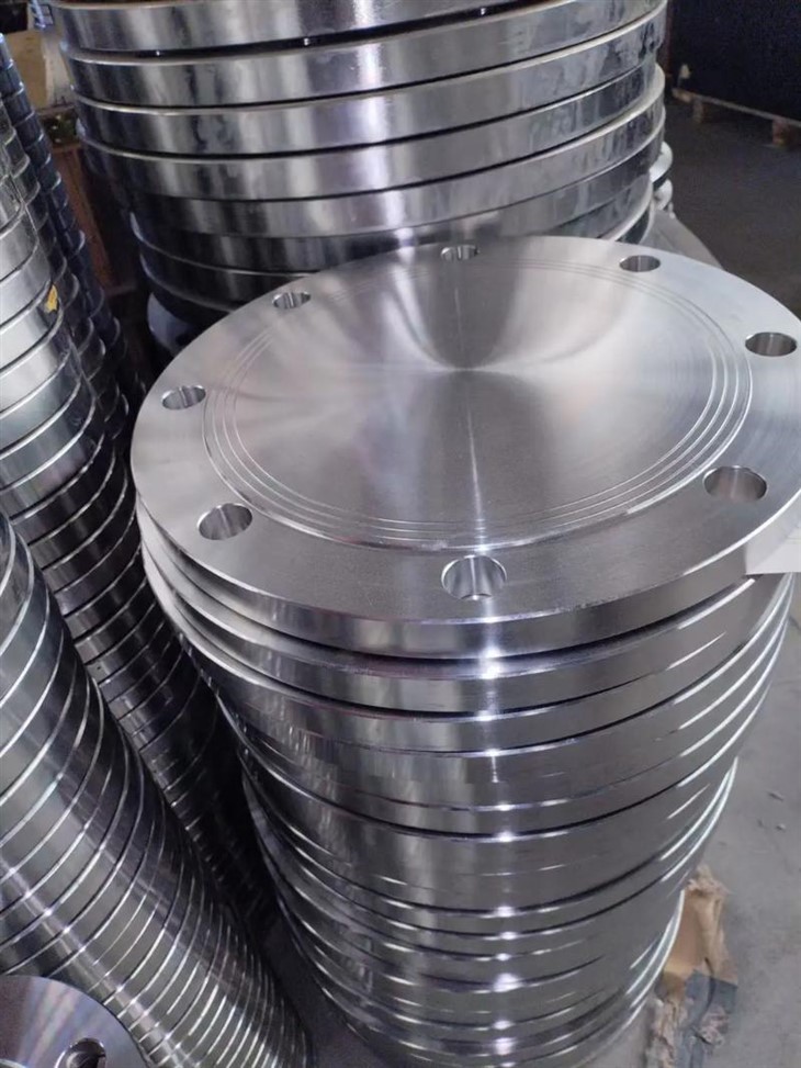 ASME Blind Flange best